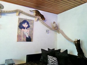 Spunti dal Giappone per una casa animal friendly