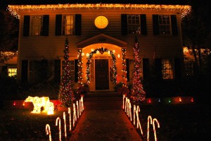 decorare il giardino natale