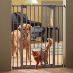 divisori per cani e gatti