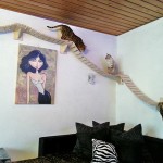 Spunti dal Giappone per una casa animal friendly