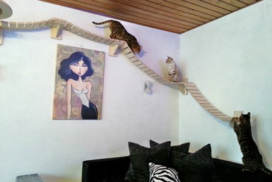 Spunti dal Giappone per una casa animal friendly